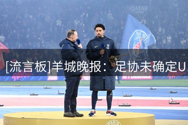 [流言板]羊城晚报：足协未确定U16新帅人选，大概率将是本土教练